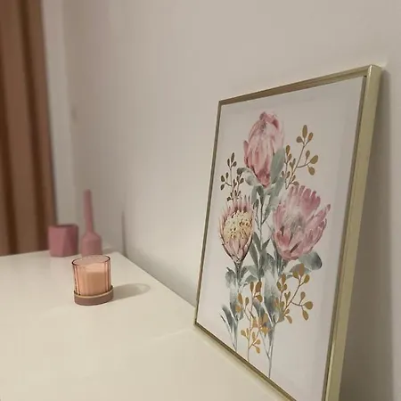 מלון דירות M&L Summer Apartament קונסטנצה