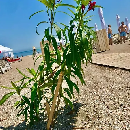 M&L Summer Apartament מלון דירות קונסטנצה